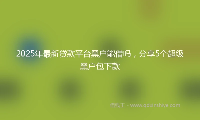 2025年最新贷款平台黑户能借吗，分享5个超级黑户包下款