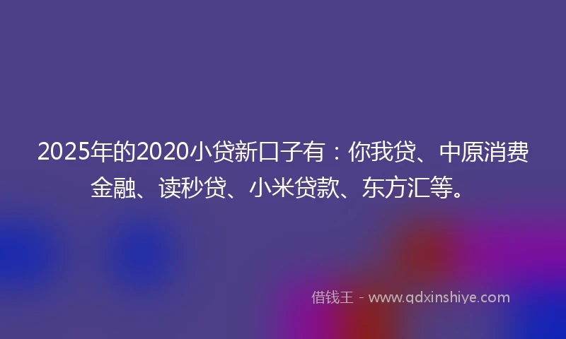 2025年的2020小贷新口子有：你我贷、中原消费金融、读秒贷、小米贷款、东方汇等。