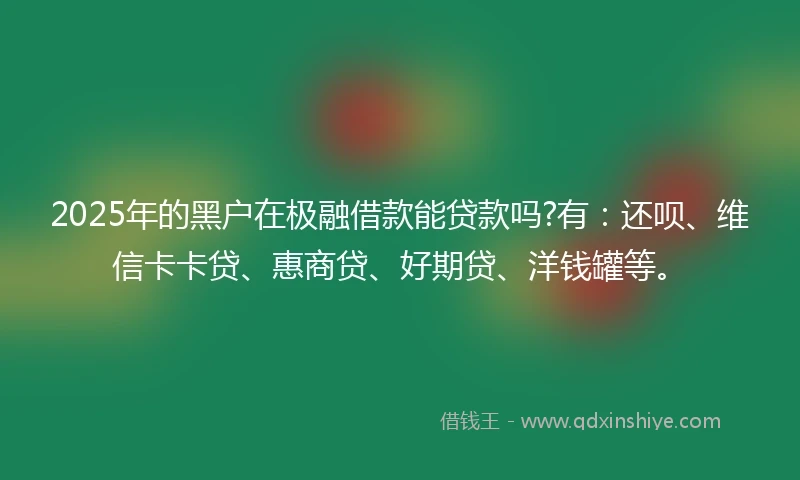 2025年的黑户在极融借款能贷款吗?有：还呗、维信卡卡贷、惠商贷、好期贷、洋钱罐等。
