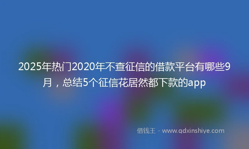 2025年热门2020年不查征信的借款平台有哪些9月，总结5个征信花居然都下款的app