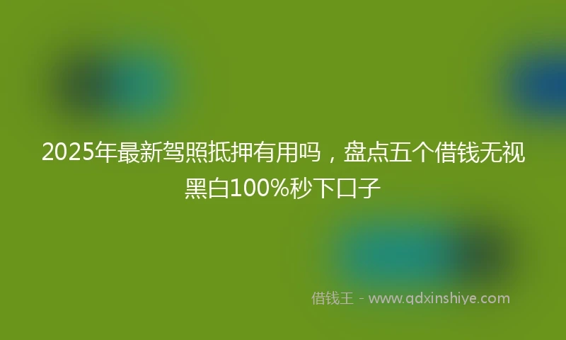 2025年最新驾照抵押有用吗，盘点五个借钱无视黑白100%秒下口子