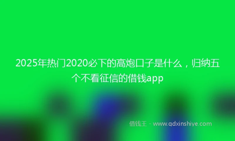 2025年热门2020必下的高炮口子是什么，归纳五个不看征信的借钱app