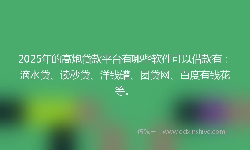 2025年的高炮贷款平台有哪些软件可以借款有：滴水贷、读秒贷、洋钱罐、团贷网、百度有钱花等。