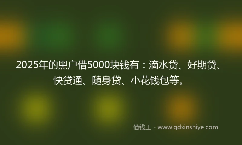 2025年的黑户借5000块钱有：滴水贷、好期贷、快贷通、随身贷、小花钱包等。