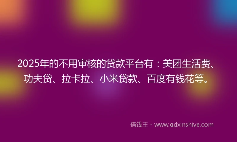 2025年的不用审核的贷款平台有：美团生活费、功夫贷、拉卡拉、小米贷款、百度有钱花等。