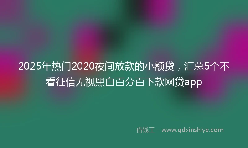 2025年热门2020夜间放款的小额贷，汇总5个不看征信无视黑白百分百下款网贷app