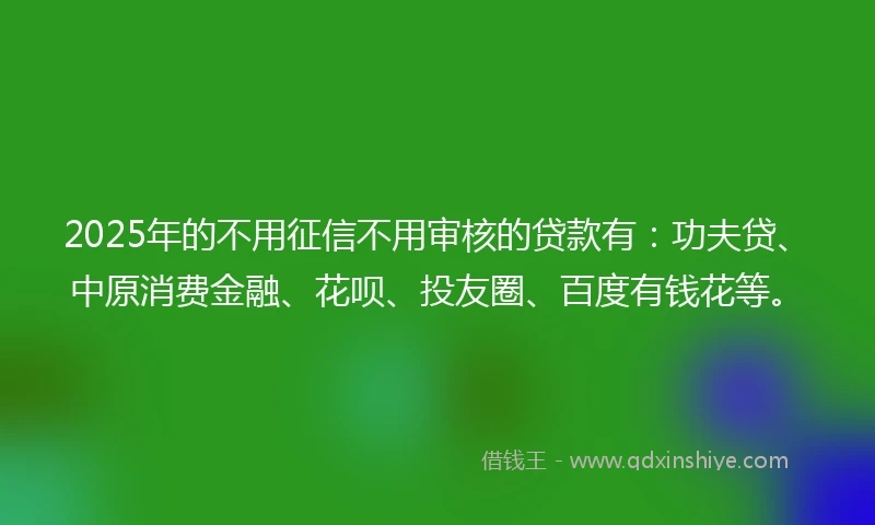 2025年的不用征信不用审核的贷款有：功夫贷、中原消费金融、花呗、投友圈、百度有钱花等。