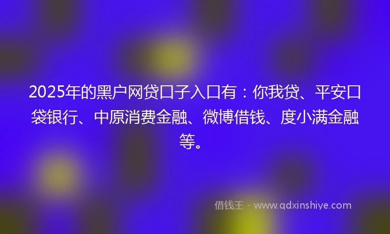 2025年的黑户网贷口子入口有：你我贷、平安口袋银行、中原消费金融、微博借钱、度小满金融等。