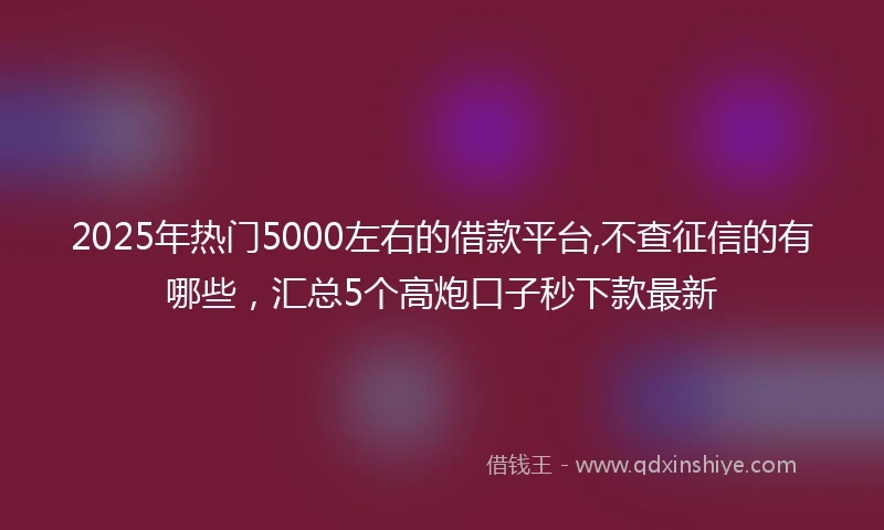 2025年热门5000左右的借款平台,不查征信的有哪些，汇总5个高炮口子秒下款最新