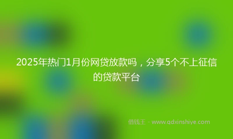 2025年热门1月份网贷放款吗，分享5个不上征信的贷款平台