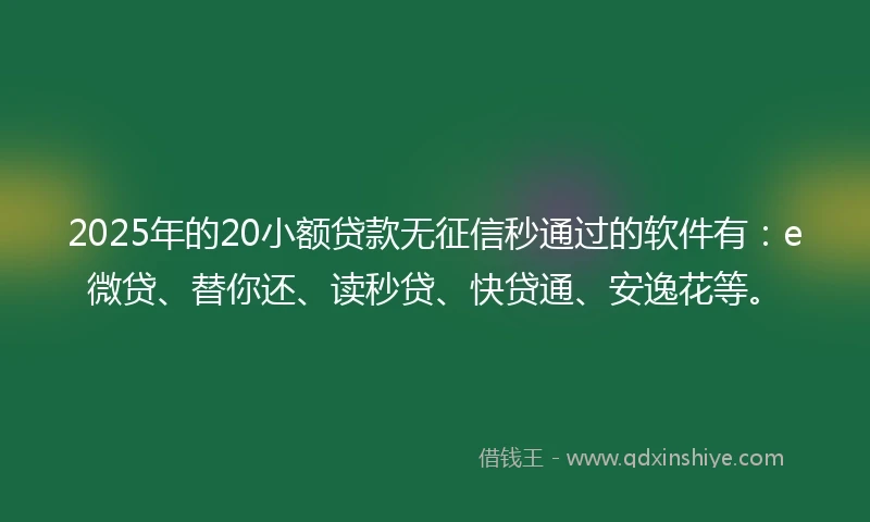 2025年的20小额贷款无征信秒通过的软件有：e微贷、替你还、读秒贷、快贷通、安逸花等。