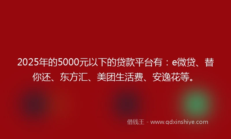 2025年的5000元以下的贷款平台有：e微贷、替你还、东方汇、美团生活费、安逸花等。