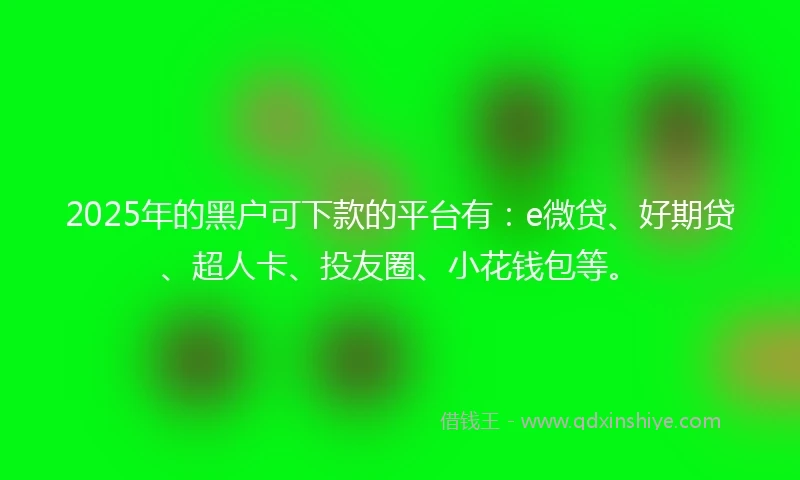 2025年的黑户可下款的平台有：e微贷、好期贷、超人卡、投友圈、小花钱包等。