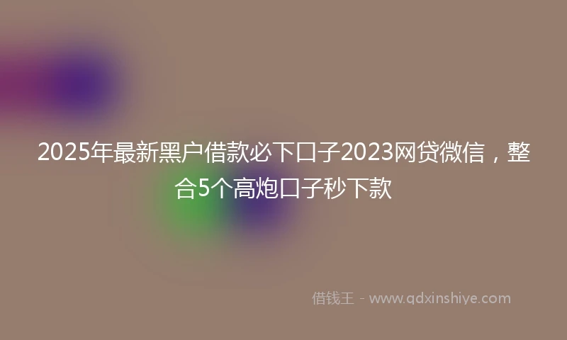 2025年最新黑户借款必下口子2023网贷微信，整合5个高炮口子秒下款