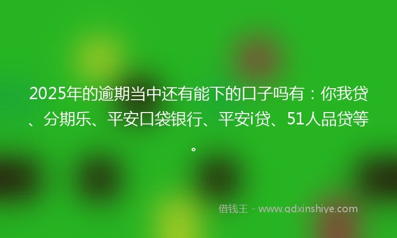 2025年的逾期当中还有能下的口子吗有：你我贷、分期乐、平安口袋银行、平安i贷、51人品贷等。
