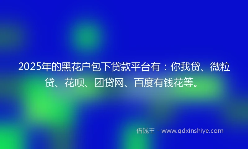 2025年的黑花户包下贷款平台有：你我贷、微粒贷、花呗、团贷网、百度有钱花等。