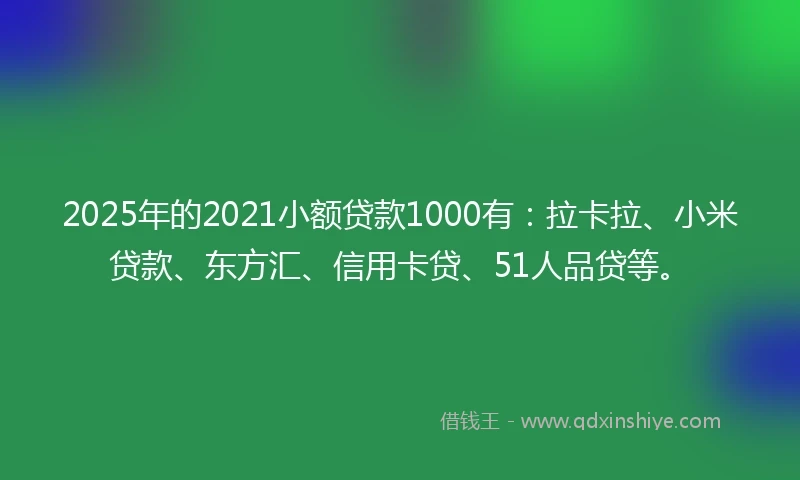 2025年的2021小额贷款1000有：拉卡拉、小米贷款、东方汇、信用卡贷、51人品贷等。