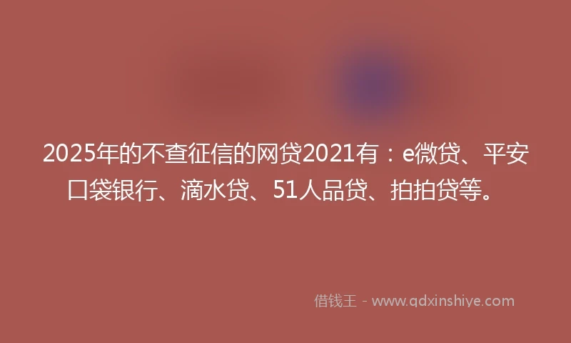 2025年的不查征信的网贷2021有：e微贷、平安口袋银行、滴水贷、51人品贷、拍拍贷等。