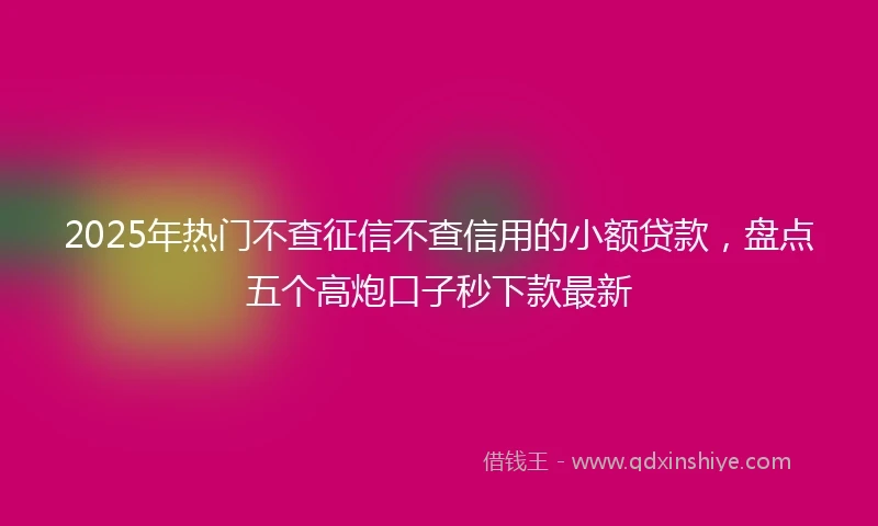 2025年热门不查征信不查信用的小额贷款，盘点五个高炮口子秒下款最新