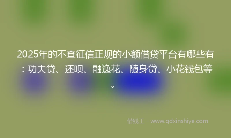 2025年的不查征信正规的小额借贷平台有哪些有：功夫贷、还呗、融逸花、随身贷、小花钱包等。