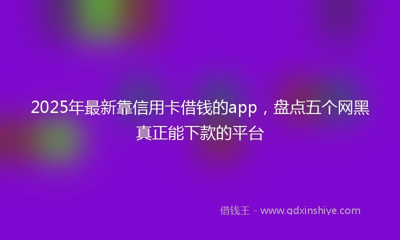 2025年最新靠信用卡借钱的app，盘点五个网黑真正能下款的平台