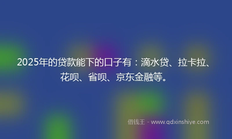 2025年的贷款能下的口子有：滴水贷、拉卡拉、花呗、省呗、京东金融等。