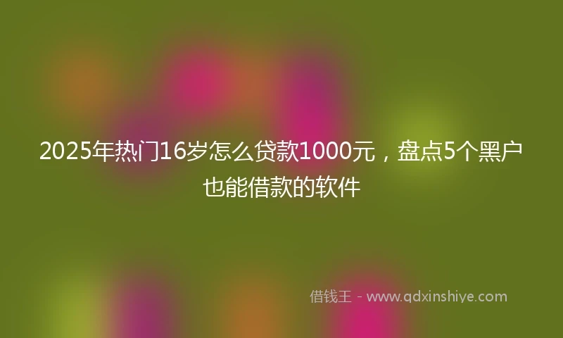 2025年热门16岁怎么贷款1000元，盘点5个黑户也能借款的软件