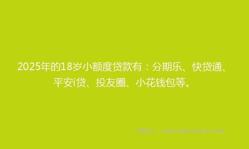 2025年的18岁小额度贷款有：分期乐、快贷通、平安i贷、投友圈、小花钱包等。