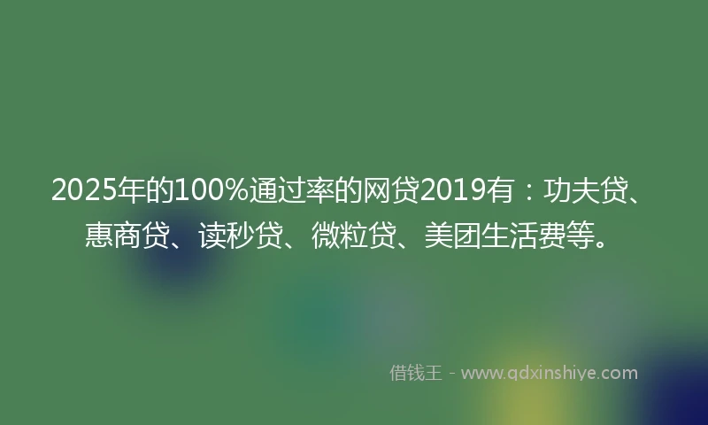 2025年的100%通过率的网贷2019有：功夫贷、惠商贷、读秒贷、微粒贷、美团生活费等。