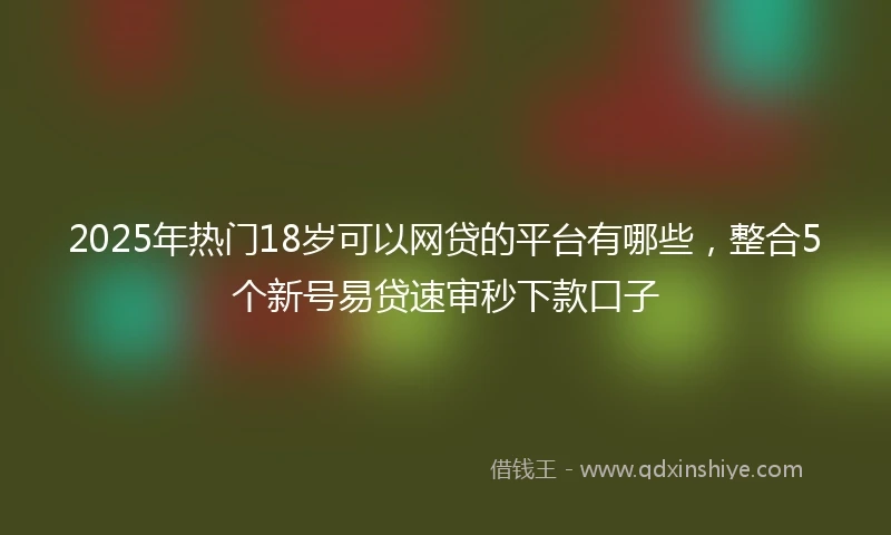 2025年热门18岁可以网贷的平台有哪些，整合5个新号易贷速审秒下款口子