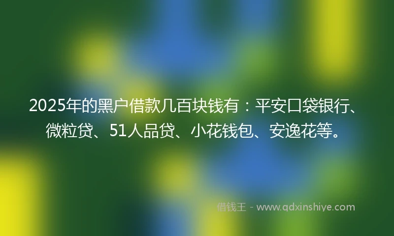 2025年的黑户借款几百块钱有：平安口袋银行、微粒贷、51人品贷、小花钱包、安逸花等。