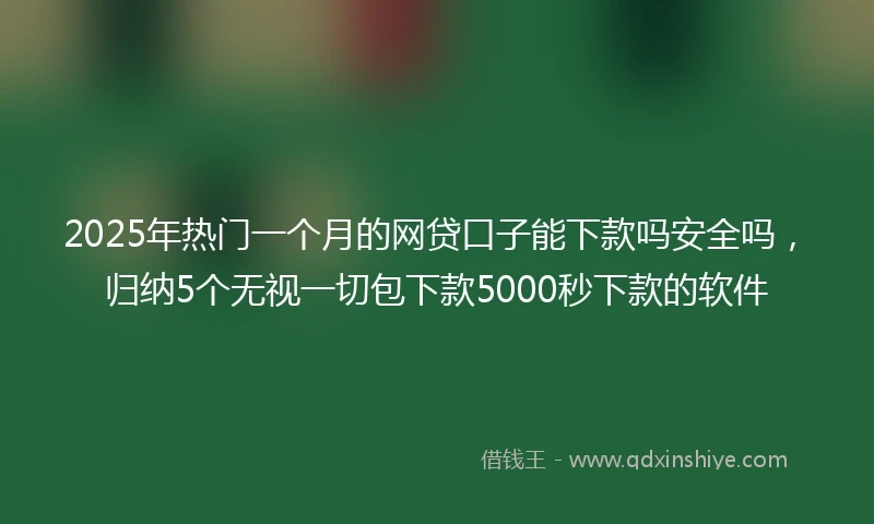 2025年热门一个月的网贷口子能下款吗安全吗，归纳5个无视一切包下款5000秒下款的软件