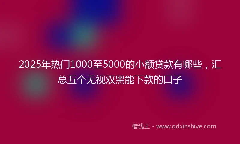 2025年热门1000至5000的小额贷款有哪些，汇总五个无视双黑能下款的口子