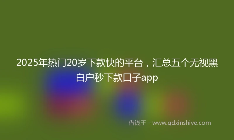2025年热门20岁下款快的平台，汇总五个无视黑白户秒下款口子app