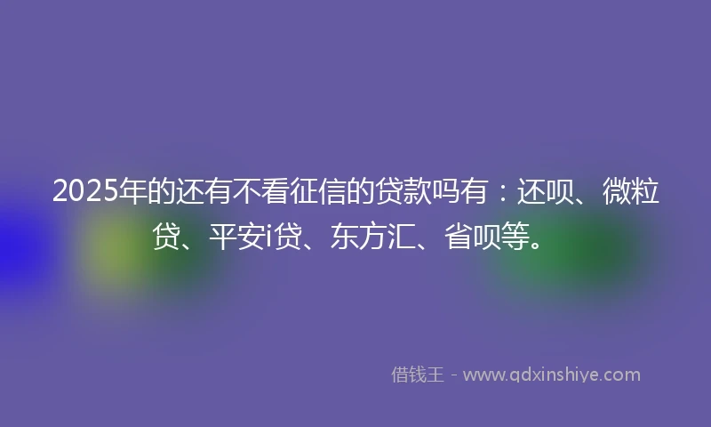 2025年的还有不看征信的贷款吗有：还呗、微粒贷、平安i贷、东方汇、省呗等。