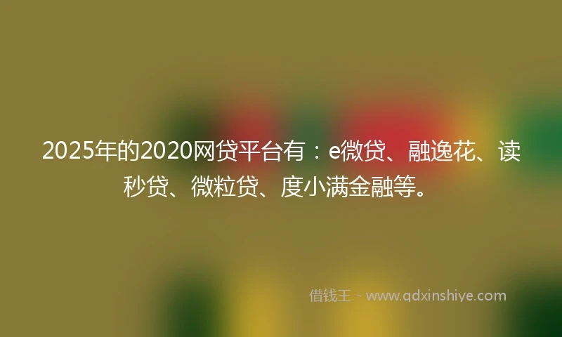 2025年的2020网贷平台有：e微贷、融逸花、读秒贷、微粒贷、度小满金融等。