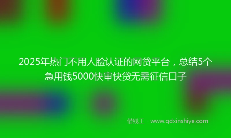 2025年热门不用人脸认证的网贷平台，总结5个急用钱5000快审快贷无需征信口子