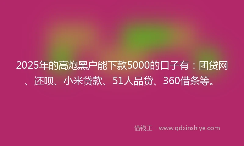 2025年的高炮黑户能下款5000的口子有：团贷网、还呗、小米贷款、51人品贷、360借条等。
