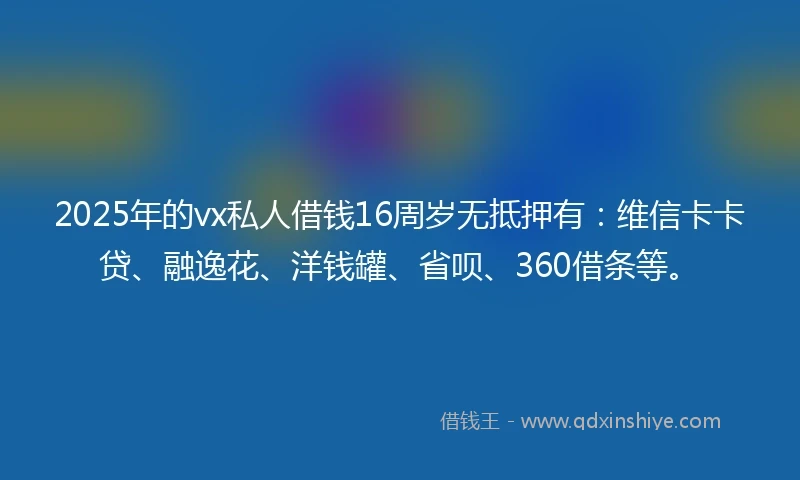 2025年的vx私人借钱16周岁无抵押有：维信卡卡贷、融逸花、洋钱罐、省呗、360借条等。