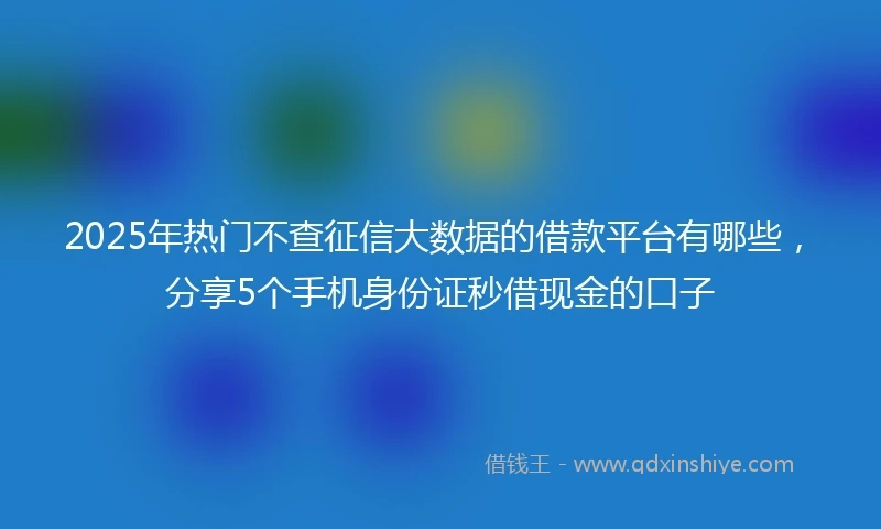 2025年热门不查征信大数据的借款平台有哪些，分享5个手机身份证秒借现金的口子