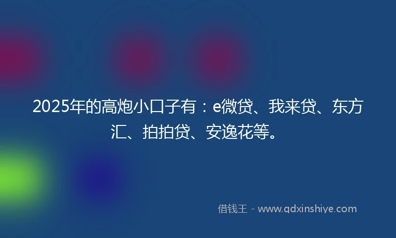 2025年的高炮小口子有：e微贷、我来贷、东方汇、拍拍贷、安逸花等。
