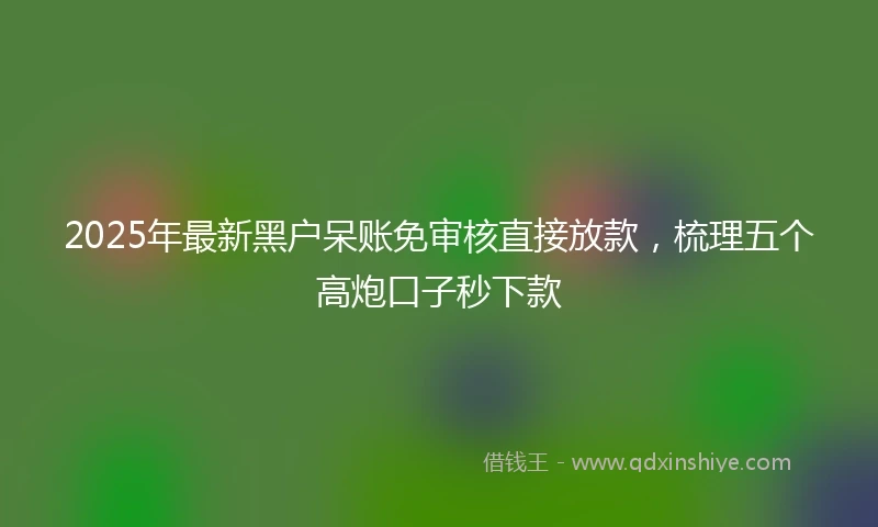 2025年最新黑户呆账免审核直接放款，梳理五个高炮口子秒下款