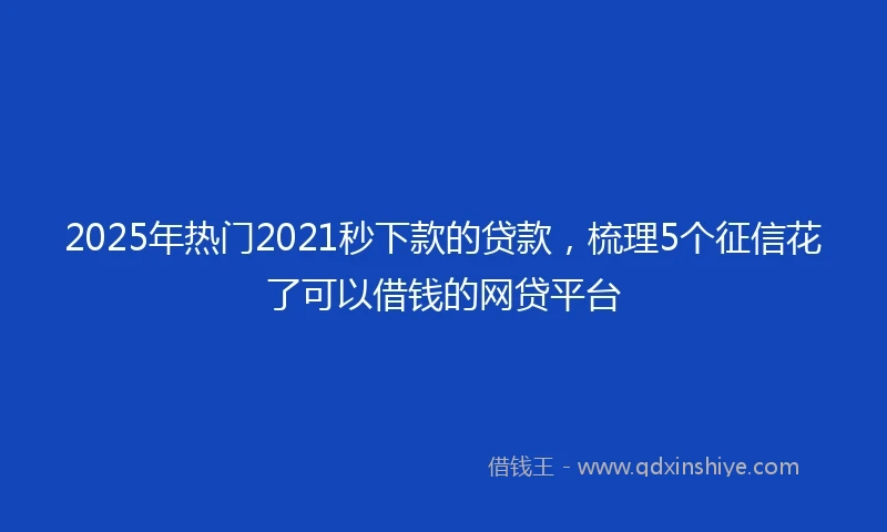 2025年热门2021秒下款的贷款，梳理5个征信花了可以借钱的网贷平台