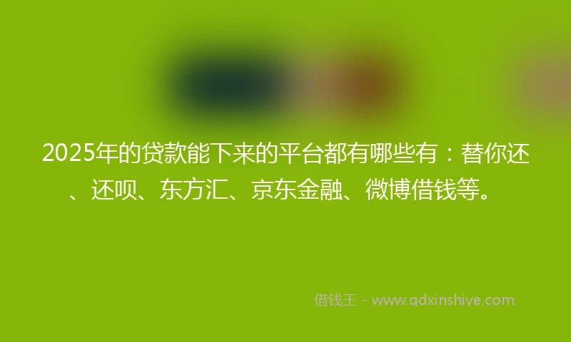 2025年的贷款能下来的平台都有哪些有：替你还、还呗、东方汇、京东金融、微博借钱等。