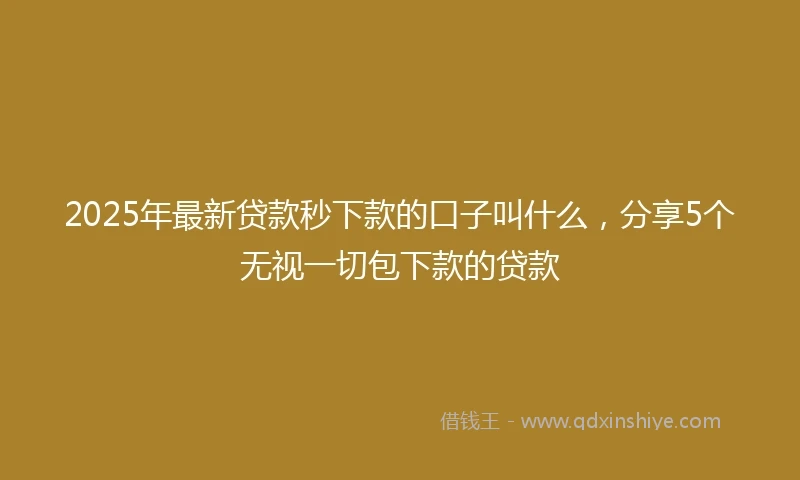 2025年最新贷款秒下款的口子叫什么，分享5个无视一切包下款的贷款