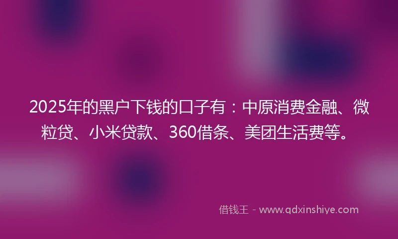 2025年的黑户下钱的口子有：中原消费金融、微粒贷、小米贷款、360借条、美团生活费等。