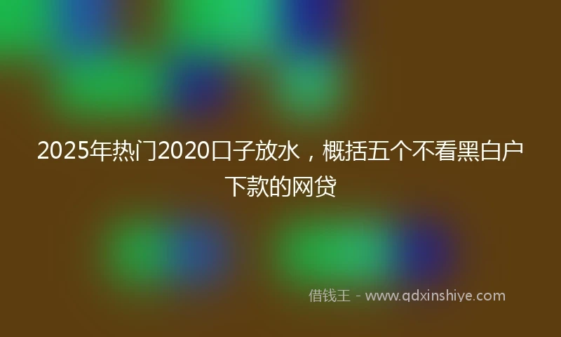 2025年热门2020口子放水，概括五个不看黑白户下款的网贷