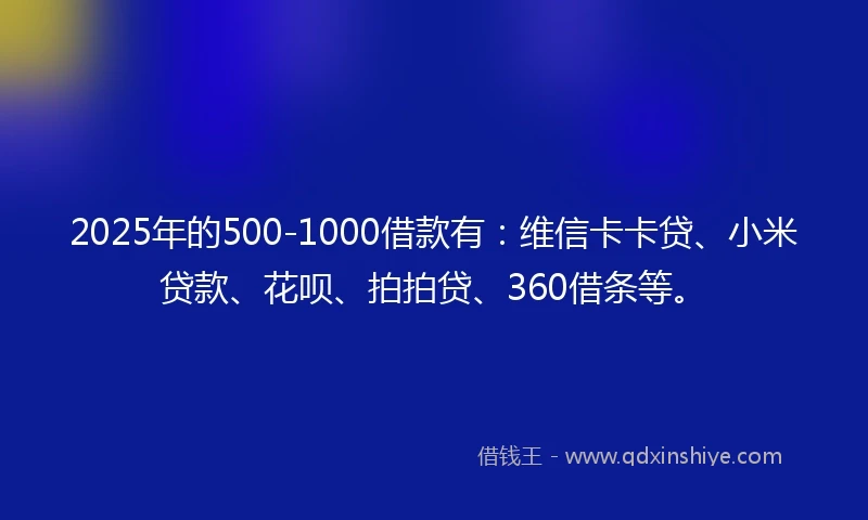 2025年的500-1000借款有：维信卡卡贷、小米贷款、花呗、拍拍贷、360借条等。