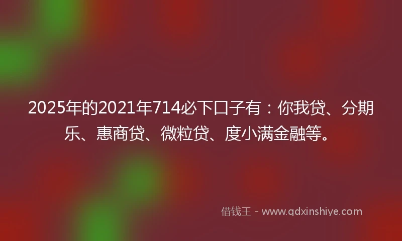 2025年的2021年714必下口子有：你我贷、分期乐、惠商贷、微粒贷、度小满金融等。