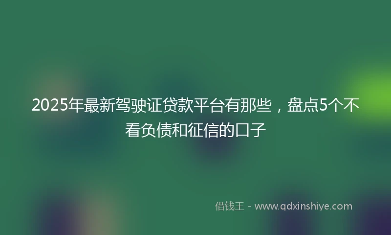 2025年最新驾驶证贷款平台有那些，盘点5个不看负债和征信的口子